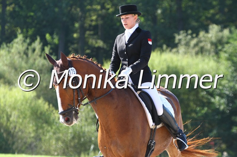 109M6675_Freggel_Dressur L_Mannschaft.JPG